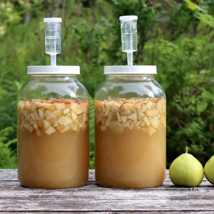 how to make pear wine