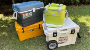 Best Cooler Brands 1694988129