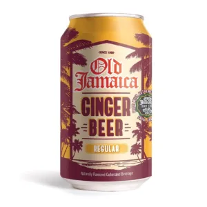 Can of Ginger Beer 1693880638