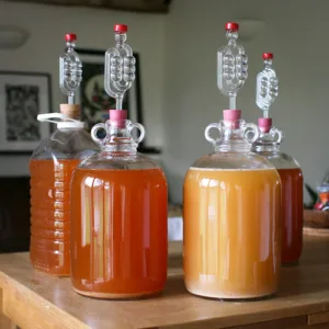 Cider Fermentation 1693965285