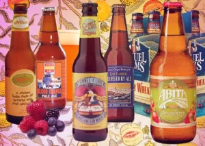 Fruity Beers 1694227578