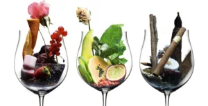 Fruity Flavors in Wine 1694966557
