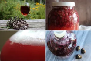 Homemade Wine 1694335963