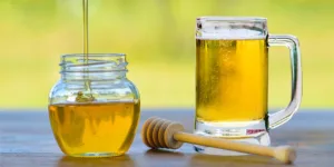 Honey Beer recipe 1694319095