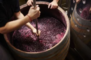 Ingredients for Wine Making 1694967837