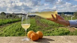 Orange Juice Wine 1694693878