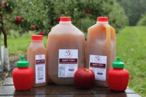 Pasteurize Apple Cider 1694361862