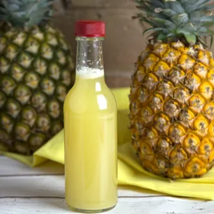 Pineapple Juice Fermentation 1694702863