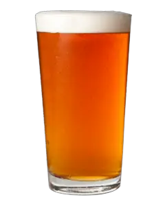 Pint of Bitter 1694705117