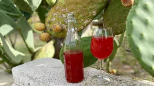 Prickly Pear Wine 1694758620