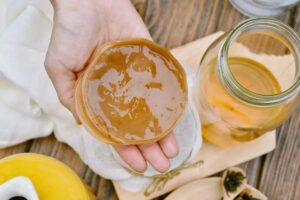 SCOBY from Scratch Without Kombucha 1694614931