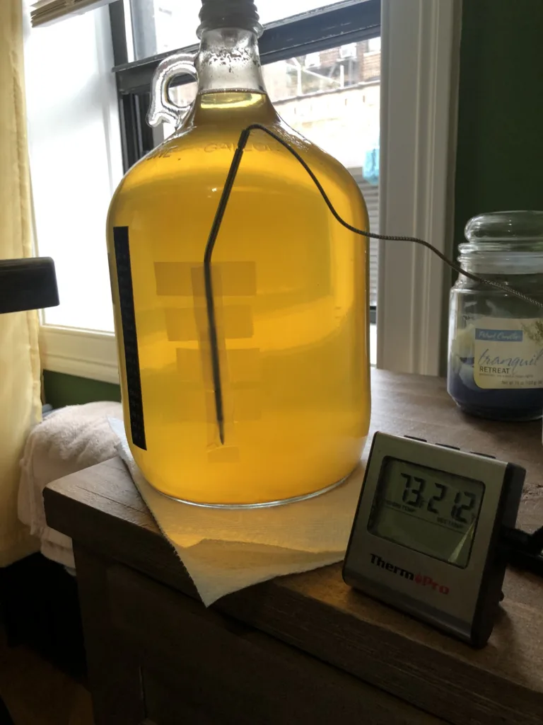 Secondary Fermentation of Mead 1694846020