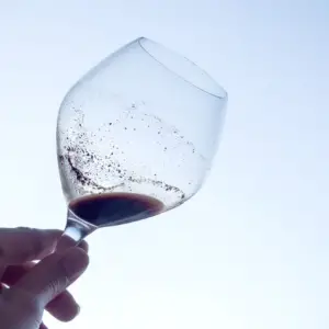 Sediment In Wine 1694351290