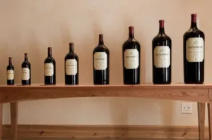 Sizes of Wine Bottles 1694969357