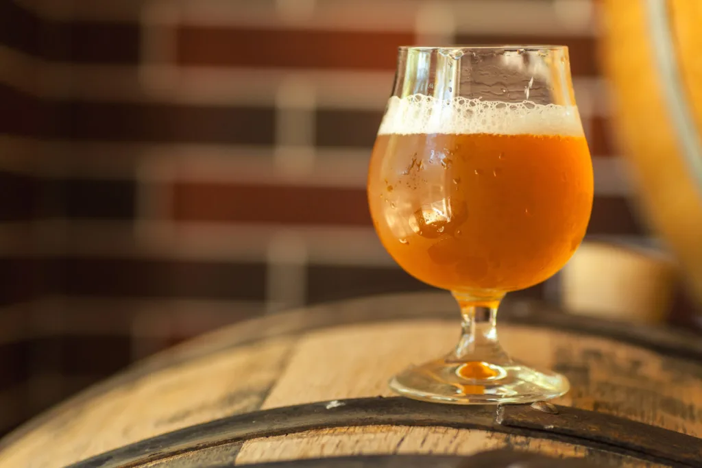 Sour Beer Recipe 1694856357