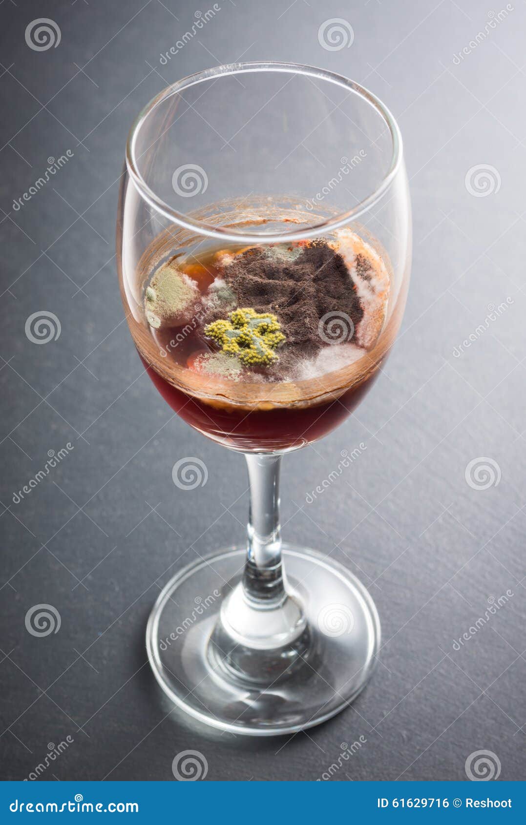 Getting Rid of Wine Mold