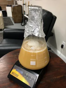 beer starter yeast 1