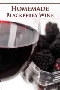 blackberry wine recipe 1
