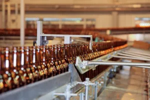 bottling cider 1