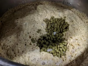 dry hopping with pellets 1