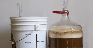 fermenting beer 1 1