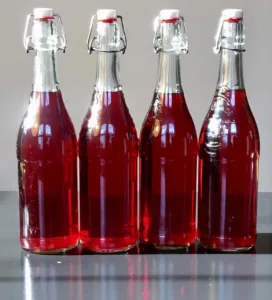 hibiscus mead 1