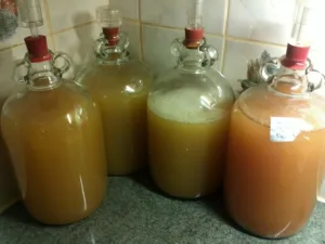 homebrew cider 1