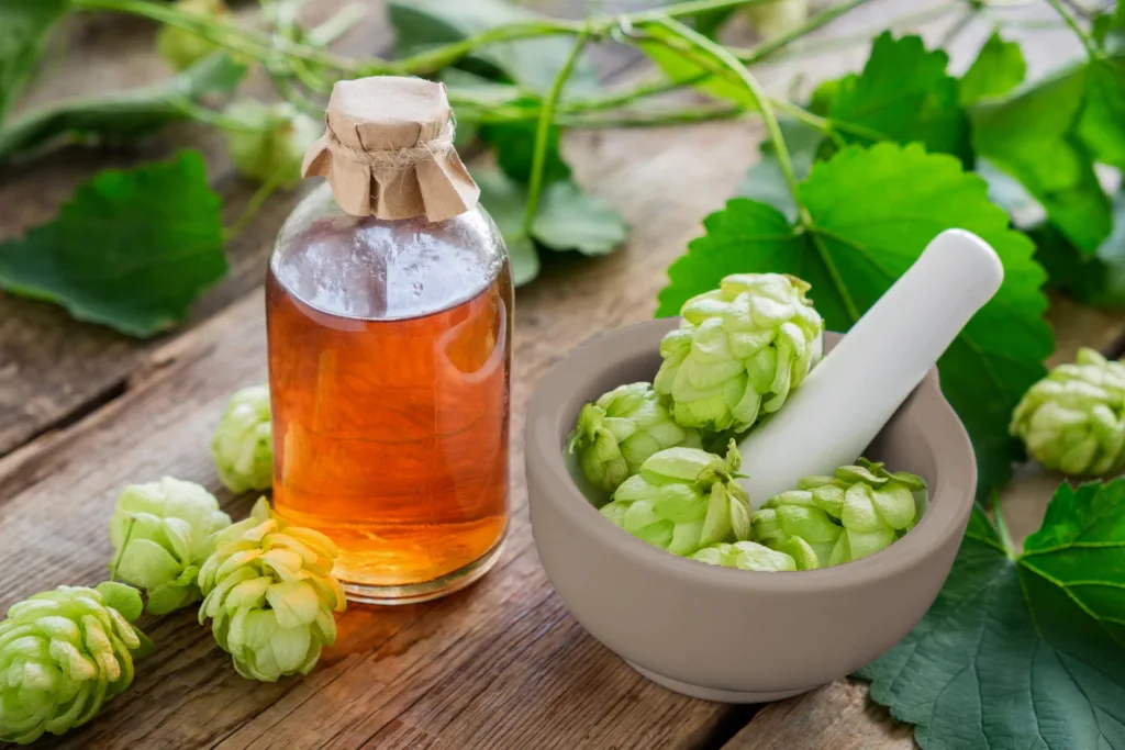 The Benefits of Hop Oil in Brewing