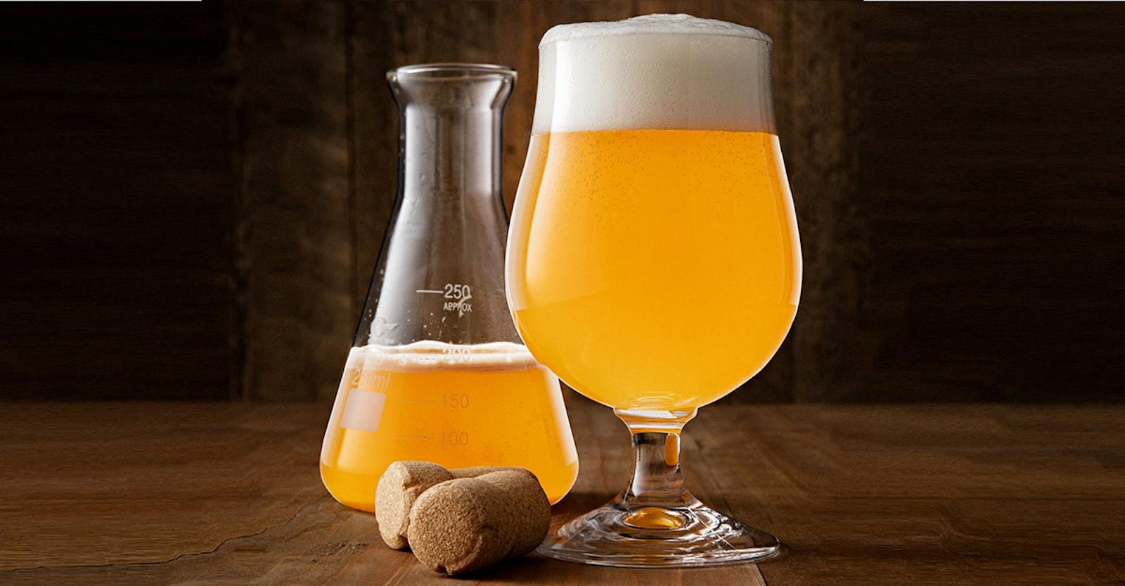 How Long To Ferment Beer?