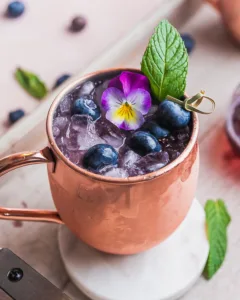 Blueberry Moscow Mule 1698157241