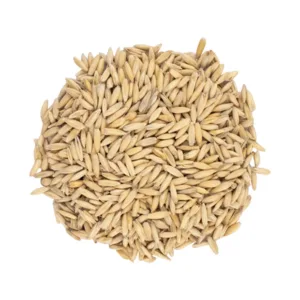 Oat Malt 1696193296