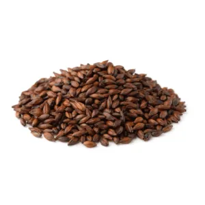 Roasted Barley in Brewing 1696520910