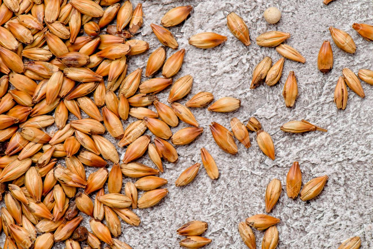 The Art Of Malting Malted Grains pin-by-writer4life-on-no-gluten-check-out-these-products-gluten-free